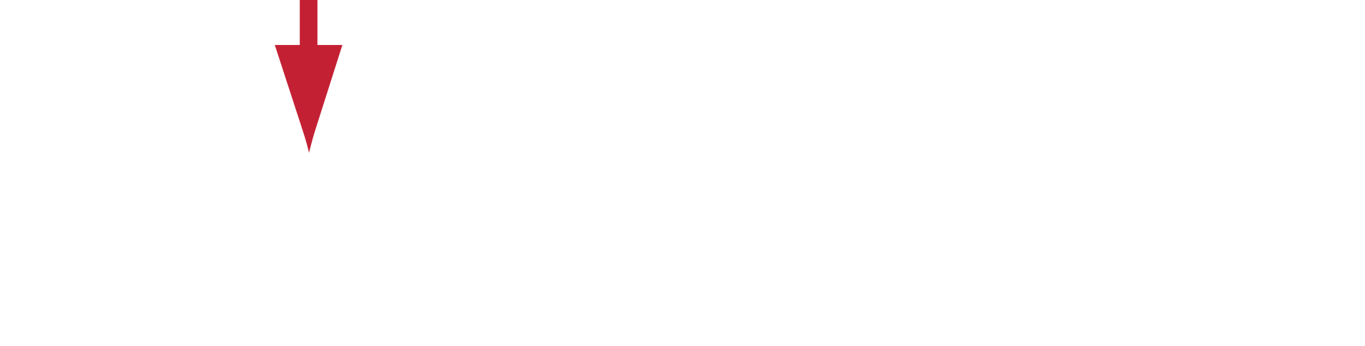 logo evoting footer